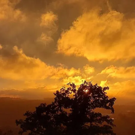 Wulf Appartement Schmallenberg